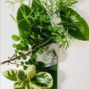 Meet your Posher, Polina